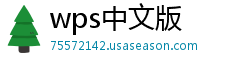 wps中文版